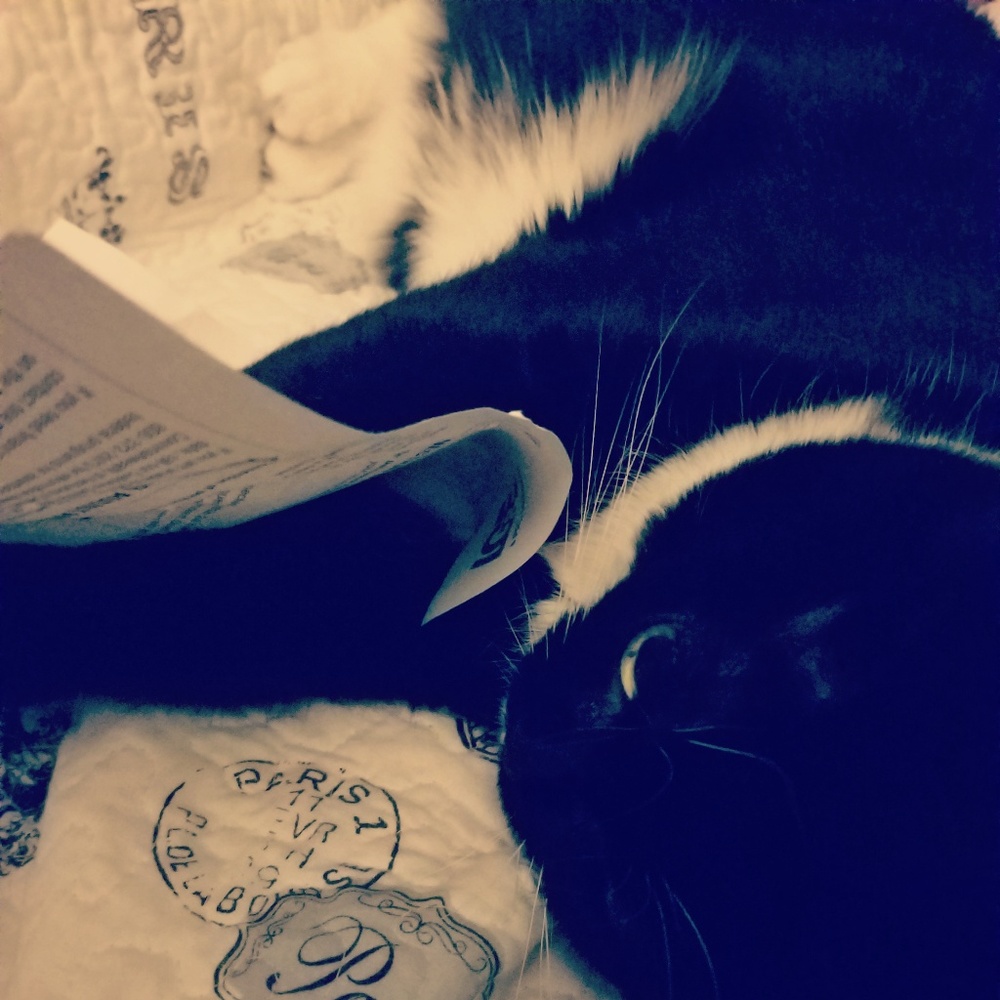 Meet your Posher, Sharilyn